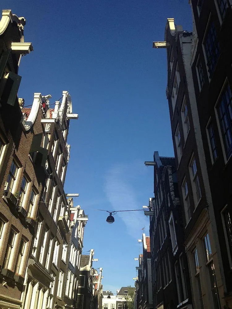 The Blue Sheep Bed & Breakfast Amsterdam 3*,