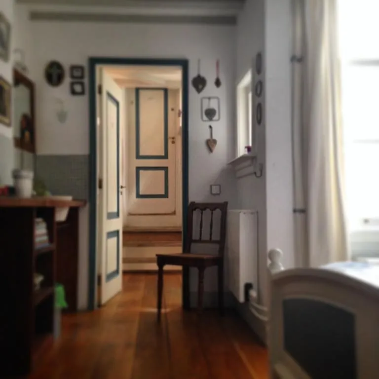 The Blue Sheep Bed & Breakfast Amsterdam