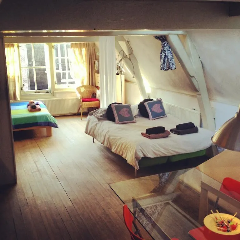***  The Blue Sheep Bed & Breakfast Amsterdam Hollanda